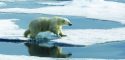 20160722-heidi-krajewsky_sval-seaice-19
