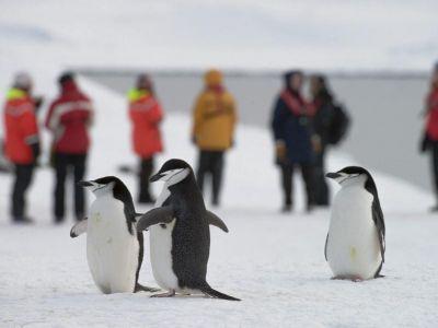 Antarctic Expeditions