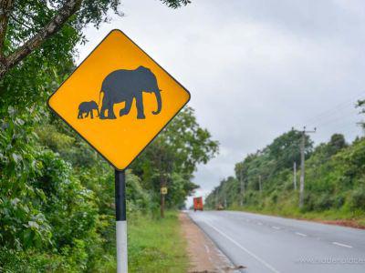 hidden-places-travel-sri-lanka