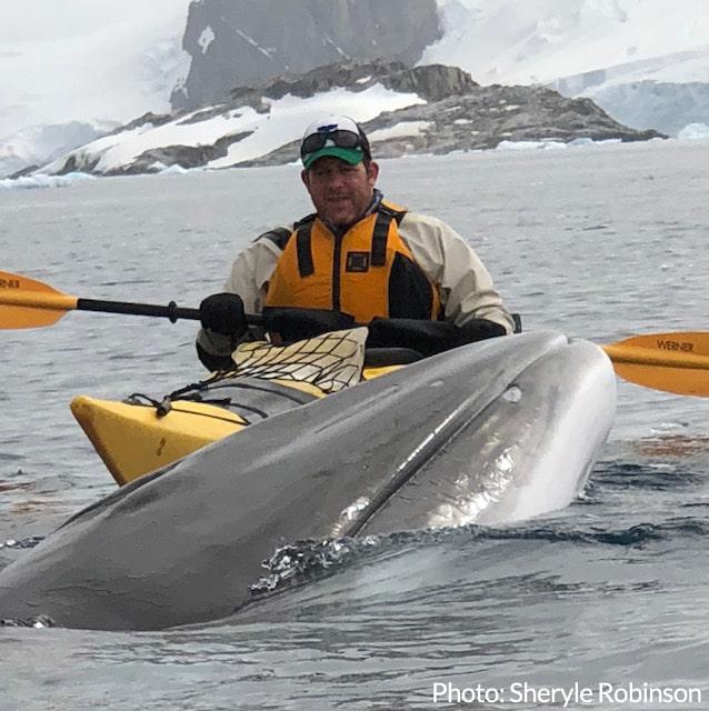 Kayaking encounter with minke whale